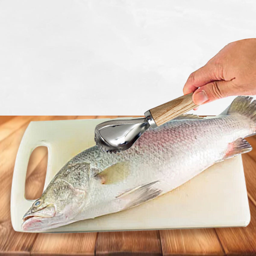 Stainless Steel Fish Scale Remover Scraper